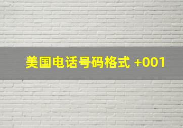 美国电话号码格式 +001